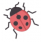 Lady Bug.png